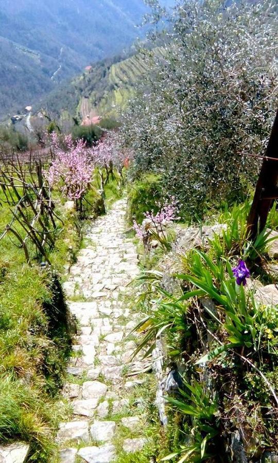 Farmhouse B&B Castagnola 64 Ne Bagian luar foto